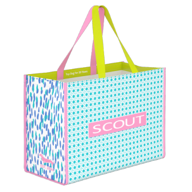 SCOUT Caning Seafoam Shopper