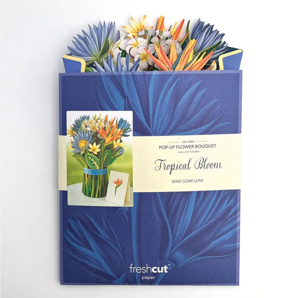 FRESH CUT - Pop-up Greeting Cards-Multiple Designs