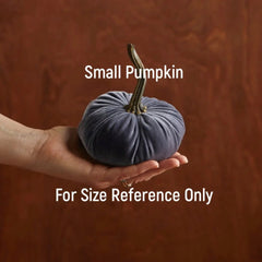 Velvet Pumpkins - Multicolors and Two Sizes