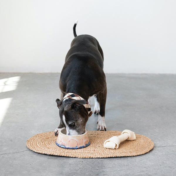 Stoneware Glazed Dog Bowls - 3 Patterns