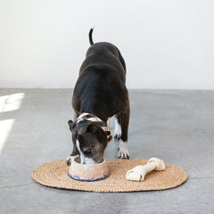 Stoneware Glazed Dog Bowls - 3 Patterns