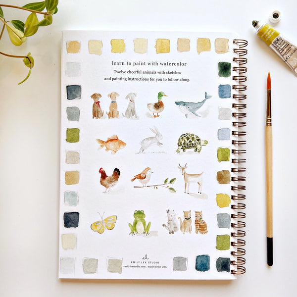 Watercolor Workbooks, Paint Sets, and Brushes