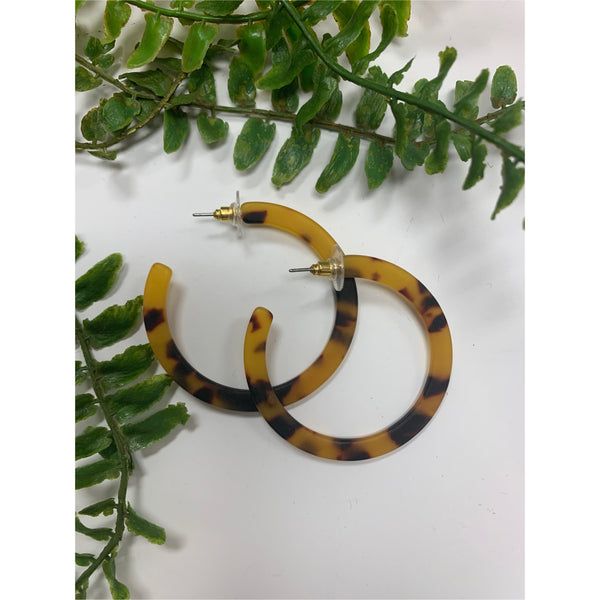 Tortoise Hoops