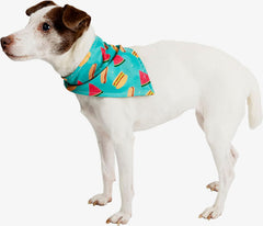 Pet Collar Slide Bandanas - Boxed Set of 3