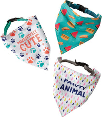 Pet Collar Slide Bandanas - Boxed Set of 3