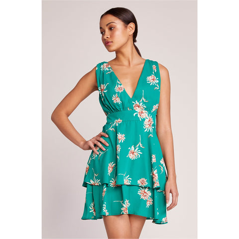 Garden Strolls Dress