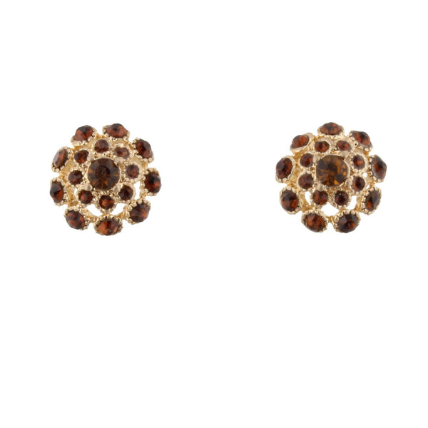 Jane Marie Rhinestone Burst Stud Earrings